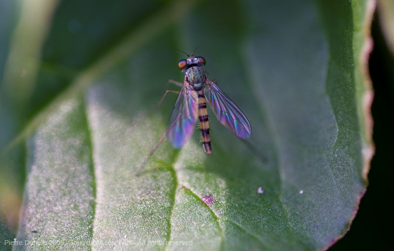 5d030124