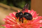 09/08/2005 - 20d08878 - Palombara Sabina (I-00018)