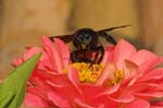 09/08/2005 - 20d08880 - Palombara Sabina (I-00018)