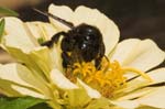 09/08/2005 - 20d08892 - Palombara Sabina (I-00018)