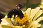 09/08/2005 - 20d08895 - Palombara Sabina (I-00018)