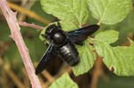 12/08/2005 - 20d09134 - Palombara Sabina (I-00018)