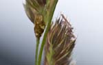 17/07/2007 - 20d74511 - Bessans (73480)