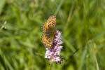 18/07/2007 - 20d75326 - Bessans (73480)