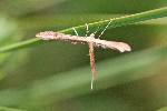 19/07/2007 - 20d75933 - Bessans (73480)