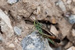 2007-07-19 - 20d76023 - Val-Cenis (73500)