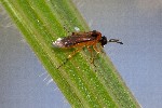 2007-07-22 - 20d77280 - Bessans (73480)