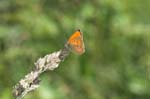 27/07/2007 - 20d80611 - Bessans (73480)