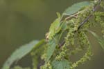 25/07/2008 - 5d017463 - Saint-André-d'Allas (24200)