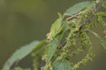 25/07/2008 - 5d017463 - Saint-André-d'Allas (24200)