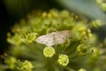 10/09/2010 - 5d040615 - Cimetière de Montmartre (75018)