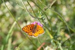31/08/2013 - 5db05230 - Bessans (73480)