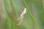 24/05/2015 - 5db08517 - Messeix (63750)