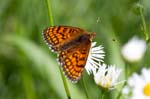 21/08/2015 - 5db15426 - Arith (73240)