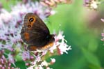 21/08/2015 - 5db15460 - Arith (73240)