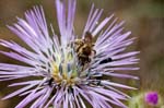 2016-05-06 - 5db18534 - Martigues (13500)