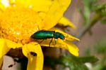 2016-05-06 - 5db18641 - Martigues (13500) 2016-05-06 - 5db18641 - Martigues (13500)