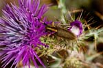 2016-05-06 - 5db18932 - Martigues (13500) 2016-05-06 - 5db18932 - Martigues (13500)
