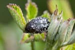 07/05/2016 - 5db19168 - Arles (13100)
