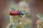 2016-05-08 - 5db19354 - Saint-Mitre-les-Remparts (13920)
