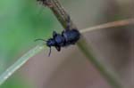 2016-05-08 - 5db19629 - Saint-Mitre-les-Remparts (13920) 2016-05-08 - 5db19629 - Saint-Mitre-les-Remparts (13920)