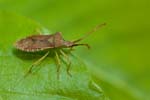 21/05/2016 - 5db20952 - Clairefontaine-en-Yvelines (78120)