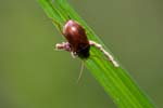 2016-05-25 - 5db21191 - Fontainebleau (77300)