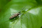 2016-06-19 - 5db22182 - Saint-Leu-la-Forêt (95320) 2016-06-19 - 5db22182 - Saint-Leu-la-Forêt (95320)