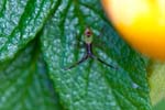 17/07/2016 - 5db22977 - Carignan (08110)