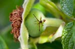 17/07/2016 - 5db22983 - Carignan (08110)