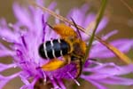 10/08/2016 - 5db23165 - Fontainebleau (77300)