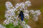 10/08/2016 - 5db23175 - Fontainebleau (77300)