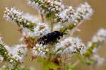 10/08/2016 - 5db23229 - Fontainebleau (77300)