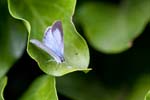 2016-08-21 - 5db23599 - Cimetière de Montmartre (75018)