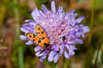 02/09/2016 - 5db23938 - Auzet (04140)