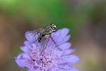 03/09/2016 - 5db24429 - Verdaches (04140)