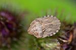 2016-09-03 - 5db24501 - Verdaches (04140)