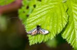 21/04/2017 - 5db26601 - Etiolles (91450)