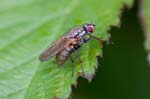 2017-05-01 - 5db27679 - Bois de Vincennes (75012)