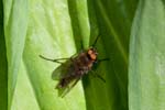 2017-05-27 - 5db29976 - Vialas (48220)