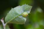 03/06/2017 - 5db31042 - Mazaugues (83136)