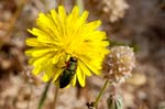 2017-06-05 - 5db32042 - Vauvenargues (13126) 2017-06-05 - 5db32042 - Vauvenargues (13126)