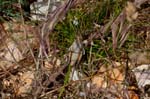2017-06-05 - 5db32256 - Vauvenargues (13126) 2017-06-05 - 5db32256 - Vauvenargues (13126)
