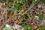 2017-06-05 - 5db32473 - Vauvenargues (13126) 2017-06-05 - 5db32473 - Vauvenargues (13126)
