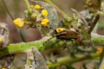 2017-06-05 - 5db32588 - Vauvenargues (13126) 2017-06-05 - 5db32588 - Vauvenargues (13126)