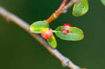 07/08/2017 - 5db35770 - Bessans (73480)