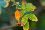 2017-08-07 - 5db35873 - Bessans (73480) 2017-08-07 - 5db35873 - Bessans (73480)