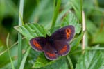 08/08/2017 - 5db36307 - Bessans (73480)