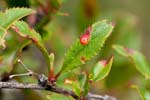 09/08/2017 - 5db36495 - Val-Cenis (73480)