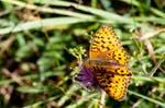 12/08/2017 - 5db37754 - Bessans (73480)